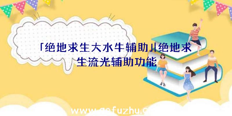「绝地求生大水牛辅助」|绝地求生流光辅助功能